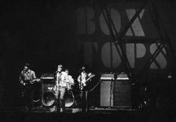 The Boxtops